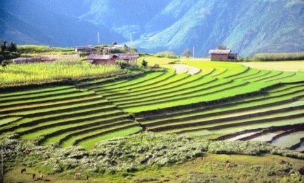 Bhutan Aims to Be First Country With 100% Organic Agriculture | The EcoPlum Daily | Scoop.it