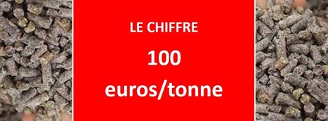 + 100 euros/tonne : Hausse de l'aliment du bétail entre avril et juin 2022 | Lait de Normandie... et d'ailleurs | Scoop.it