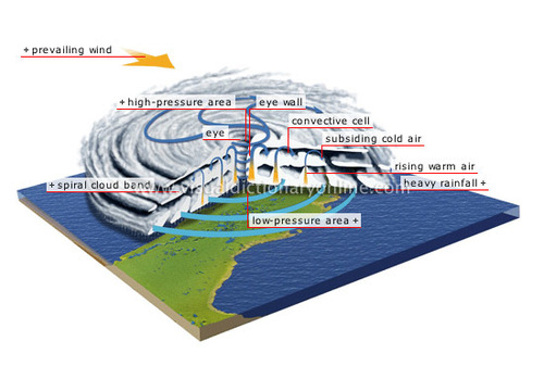 (EN) – Hurricane & tropical cyclone glossary | USATODAY.com – 📚 ...