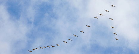 How To Make Yourself A Popular Tweeter | Science News | Scoop.it
