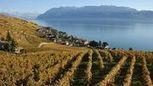 Tourisme vaudois: Les touristes raffolent de nos paysages, mais sont plus critiques avec nos hôtels | Destination Management Issues | Scoop.it