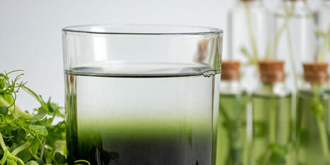 10 Health Trends You Should Not Try in 2025 | Best  Healthy Living Scoops | Scoop.it