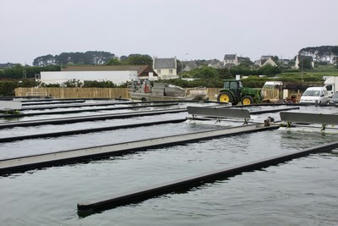 Bretagne nord : France Haliotis combine ormeaux et algues - Produits de la mer | HALIEUTIQUE MER ET LITTORAL | Scoop.it