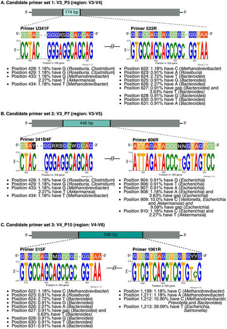 Unveiling the impact of 16S rRNA gene intergenomic variation on primer design and gut microbiome profiling | frn | RMH | Scoop.it