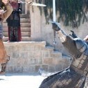 Game of Thrones 408 – The Mountain and the Viper | Trending in Uganda | Scoop.it