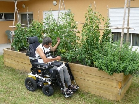 Mont-de-Marsan : opération jardiniers solidaires  | Landes | Scoop.it