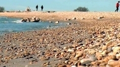 Quand la mer monte aux Saintes-Maries-de-la-Mer | Camargue Nature | Scoop.it
