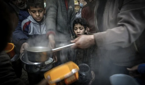 Insécurité ALIMENTAIRE dans les PAYS ARABES : Les solutions pour promouvoir une agriculture durable | MED-Amin network | Scoop.it