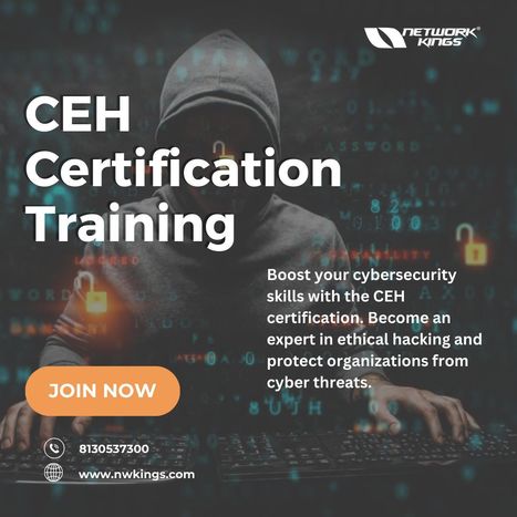 CEH Certification Training | Learn courses CCNA, CCNP, CCIE, CEH, AWS. Directly from Engineers, Network Kings is an online training platform by Engineers for Engineers. | Scoop.it
