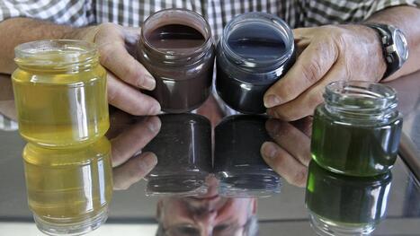 When the honey became green, blue and red! | Industry 411 - Waste Management | Scoop.it