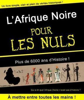 Livre: L'Afrique Noire - POUR LES NULS | Actions Panafricaines | Scoop.it