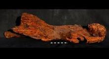 Statue, chapels and animal mummies found in Egypt | Science News | Scoop.it