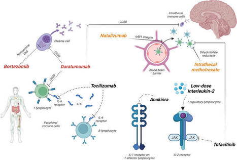 Treatment Options in Refractory Autoimmune Encephalitis | AntiNMDA | Scoop.it
