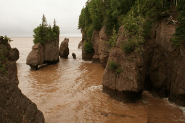 Popular Baby Names in New Brunswick, 2020 – | Name News | Scoop.it