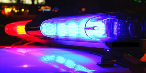 Philly parents arrested after cops find child in dog cage: report - RawStory.com | Operation Phobos | Scoop.it