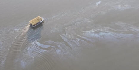 State health department testing crabs, shrimp and fish following LOOP oil leak / le 26.03.2026 | Pollution accidentelle des eaux (+ d&eacute;chets plastiques) | Scoop.it