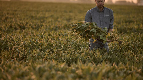 Farmers are hurting. Trump's trade war is making it worse - NPR.org | Backstabber Watch | Scoop.it