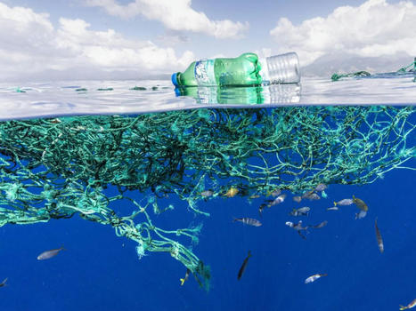 Plastiques biosourcés et biodégradables : pas si écologiques que ça ? | Toxique, soyons vigilant ! | Scoop.it