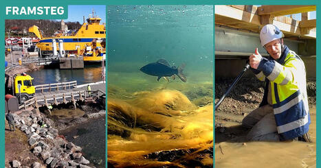 Hotade harrens ov&auml;ntade hj&auml;lp: Bilf&auml;rjor till Visings&ouml; | 1Uutiset - Lukemisen t&auml;hden | Scoop.it