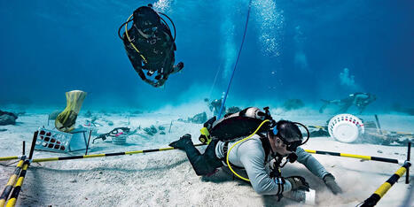 Dodging a Bullet | Soggy Science | Scoop.it