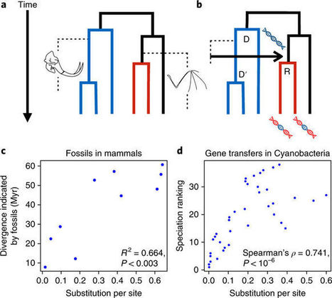 Gene transfers can date the tree of life | RMH | Scoop.it