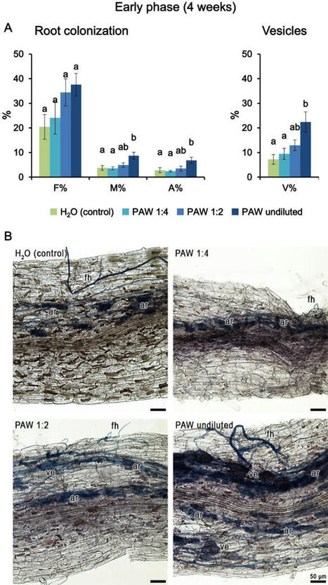 Plasma-activated water promotes and finely tunes arbuscular mycorrhizal symbiosis in Lotus japonicus | Plant-Microbe Symbiosis | Scoop.it