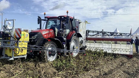 Nucrop défane les pommes de terre à l’électricité - Terre-net | Pour innover en agriculture | Scoop.it
