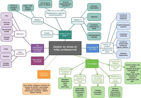 Gestion du stress en milieu professionnel (formation) | Cartes mentales | Scoop.it