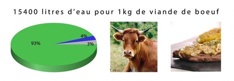 Connaissez-vous votre empreinte eau ? | Economie Responsable et Consommation Collaborative | Scoop.it