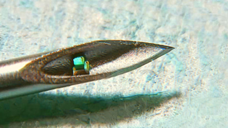 The Smallest-Ever Injectable Chip Hints at a Cybernetic Medicine | healthcare technology | Scoop.it