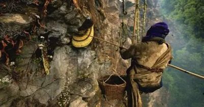 La miel loca: o c&oacute;mo el Mar Negro invent&oacute; el arma biol&oacute;gica antes de que existiera la palabra &laquo;biol&oacute;gica&raquo; &ndash; Criminolog&iacute;a | Rafael Barzanallana | Scoop.it
