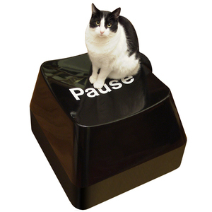 Alex Garnett — Funkey Stool | All Geeks | Scoop.it