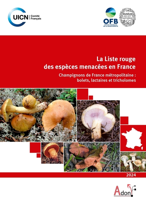 Une première liste des champignons menacés en France - UICN | Veille Centre de Ressources | Scoop.it