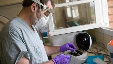 Lead scientist on Ebola drug departs lab for university post | CLOVER ENTERPRISES ''THE ENTERTAINMENT OF CHOICE'' | Scoop.it