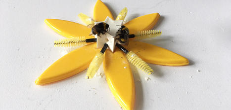 Des fleurs connect&eacute;es pour &eacute;tudier les abeilles | EntomoScience | Scoop.it