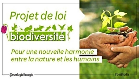 Loi biodiversit&eacute; : bilan de la 2e journ&eacute;e de d&eacute;bats - FNE | Biodiversit&eacute; | Scoop.it