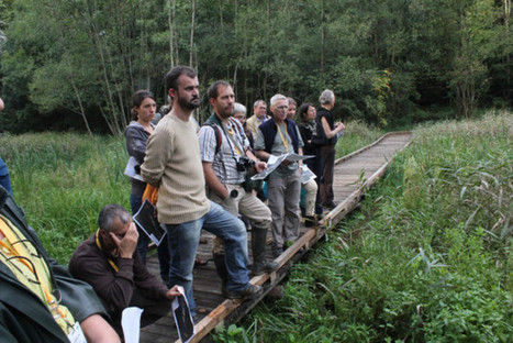Le marais de Maincourt va ouvrir - Toutes les Nouvelles | Architecture - Construction | Scoop.it