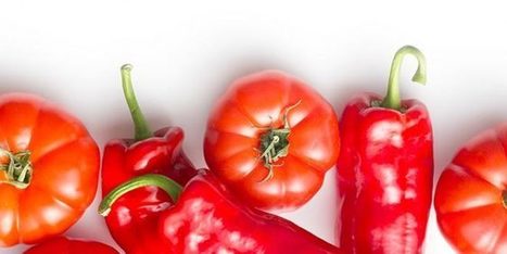 Espagne : Les agriculteurs abandonnent les tomates pour les poivrons | CIHEAM Press Review | Scoop.it