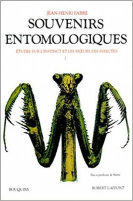 Les conseils culturels d'Emmanuel Guibert | Variétés entomologiques | Scoop.it