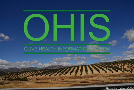 IOC : This week on OHIS - Olive Health Information System | CIHEAM Press Review | Scoop.it