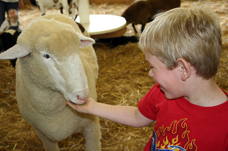 Does Not Eating Animals Make You More Empathetic Toward People? | Change.org News | Empathy and Animals | Scoop.it