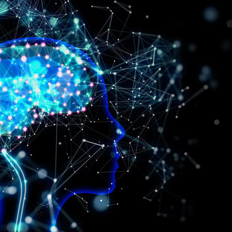 Developing Institutional Level AI Policies and Practices: A Framework | Inovação Educacional | Scoop.it