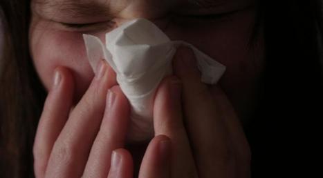 Allergies : la saison 2012 est la plus grave jamais connue (et le pire est à venir) | Toxique, soyons vigilant ! | Scoop.it