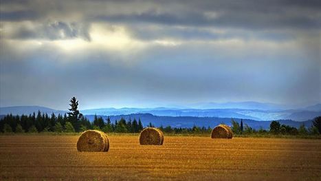 Transition alimentaire, filières et territoires : une synergie indispensable dans un contexte de crise polymorphe | Environnement : Politiques Publiques et Stratégie | Scoop.it