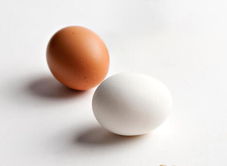 Ovatko ruskeat kananmunat valkoisia terveellisempi&auml;? | 1Uutiset - Lukemisen t&auml;hden | Scoop.it
