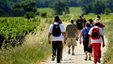 Œnotourisme (3/3) : "L’Occitanie est la deuxième région œnotouristique française"… Les institutions au soutien de la filière | Suivi de la demande et des marchés du tourisme | Scoop.it