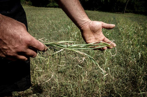 « Pour anticiper la raréfaction de la ressource en eau, il faut transformer le système agricole » - Le Monde | Gestion Durable des Ressources | Scoop.it