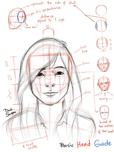 Basic Head Guide | Drawing References and Resources | Scoop.it