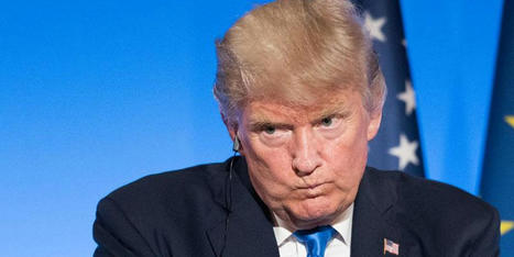 'Treacherous': Lawmaker slams Trump for saying he didn't vow to support the Constitution - Raw Story | The Unseen World | Scoop.it