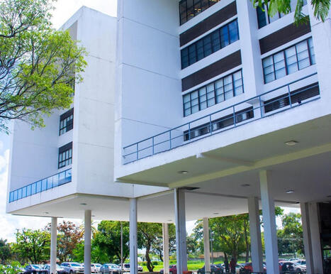 Intelig&ecirc;ncia artificial j&aacute; est&aacute; ligada a quase 3 mil bolsas e projetos no pa&iacute;s | Inova&ccedil;&atilde;o Educacional | Scoop.it